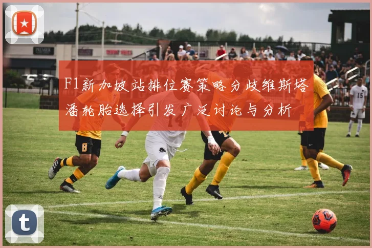 F1新加坡站排位赛策略分歧维斯塔潘轮胎选择引发广泛讨论与分析